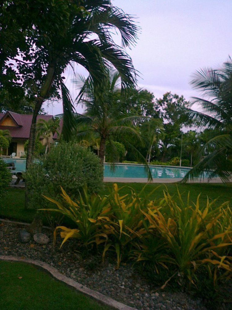 Bohol Divers Resort Totolan Exterior foto